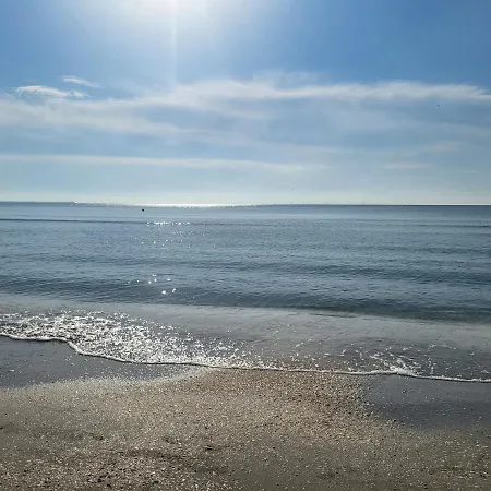 Mamaia Daire *